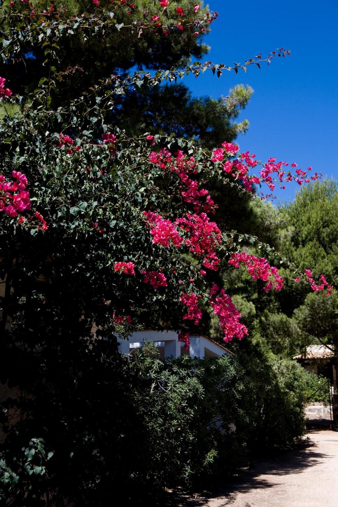 Miramare Residence Favignana Bagian luar foto