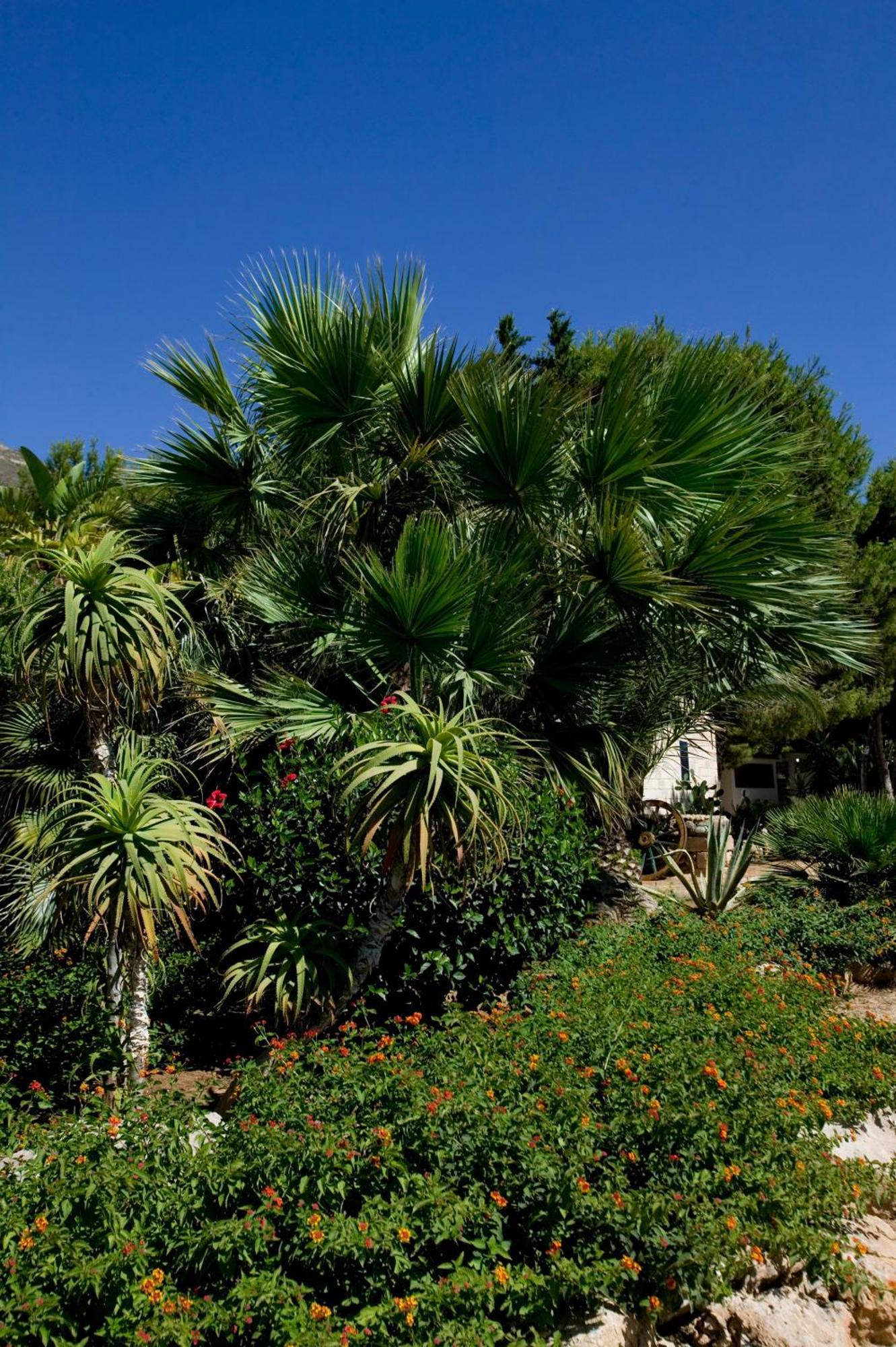 Miramare Residence Favignana Bagian luar foto